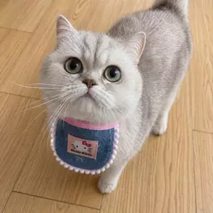 Dễ Thương Denim KT Mèo Yếm Hoạt Hình Khăn Cho Mèo Nước Bọt Khăn Phong Cách Retro Chó Yếm Trang Trí