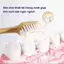 Set 6 Chiếc Bàn Chải Đánh Răng CARING FOR GUMS Lông Tơ Mềm Mại - Bàn Chải Vệ Sinh Răng