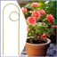 Cây Trellis Cây Leo Trellis Lưới Trang Trí Lồng Đứng Cọc Hỗ Trợ Sân Sau Đám Cưới mueadsyvn