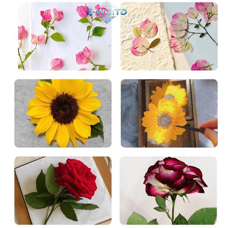 Bộ ép hoa E-WOITD 5 lớp Hoa gỗ ép đầy đủ Bộ bảo quản hoa ép lá cho đồ thủ công DIY Làm cây khô E-WOITD