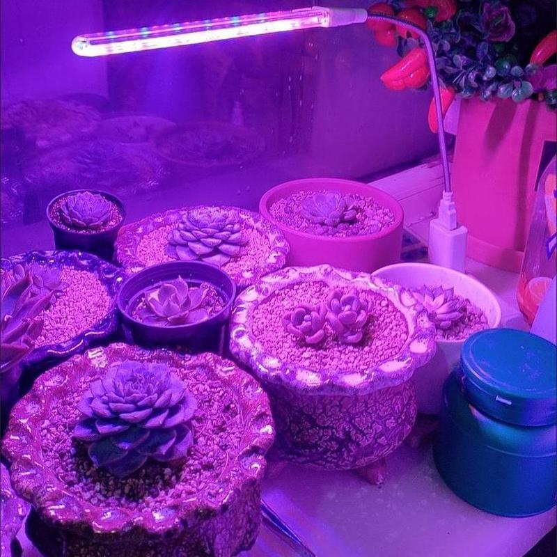 Đèn Led Giả Mặt Trời Cây Tăng Trưởng Trong Nhà Nhiều Đầy Ánh Sáng Cây Xanh Hợp Tác Ánh Sáng Bể Cá Cảnh Quan Ánh Sáng Mặt Trời 5.9