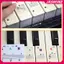 Bàn phím JASMINE ghi chú Stier 88 / 61 / 54 / 49 / 37 phím Piano Stier Trong suốt JASMINE