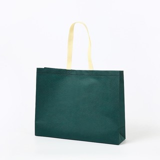 Túi vải không dệt kích thước 25x35x10 cm có quai vải.