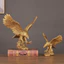 Hành lang, bàn làm việc và trang trí nhà cửa Eagle