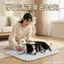 【Ready Stock】 Summer Ice Peas Cute Dogs and Cats Shape Pet Bed Breathable Four Seasons Cool Nest Mattress Pet Kennel Removable and Washable JwLt