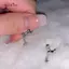 AqToCna Chó Con Dễ Thương Xương Tai Bông Thép Titan Ngôi Sao Mặt Dây Chuyền Tai Đinh Vít Turnbule AqToCna