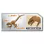 Takara Tomy Ania Jurassic World Fast-Hunter Dinosaur Figure Set - Animal Toy for Ages 3+
