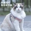 【Ready Stock】 Cat Pulling Rope Adjustable Slip Cat Traction Rope Cat Rope Cat Traction Anti Breaking Loose Special Cat Rope Strap for Going out hmjo