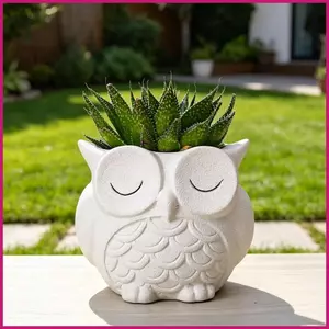Owl Planter Nhỏ Trang Trí Hoạt Hình Nhựa Trang Trí Độc Đáo Cú Trồng Nồi Cho Trong Nhà Ngoài Trời Để Bàn Bán Sách shopidaevn