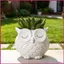 Owl Planter Nhỏ Trang Trí Hoạt Hình Nhựa Trang Trí Độc Đáo Cú Trồng Nồi Cho Trong Nhà Ngoài Trời Để Bàn Bán Sách shopidaevn