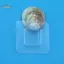 TRTR 1 Cái Móc Treo Tường Tự Dính Trong Suốt Dây Kệ Treo Tường Stier Bên Cố Định Miếng Dán Cho Nhà Bếp Phòng Tắm Tiện Ích VN