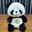 Bé Ngủ Sooother Panda Cho Bé Ngủ Đồng Hành Âm Thanh Ánh Sáng Búp Bê Cho Bé Trẻ Sơ Sinh Kid