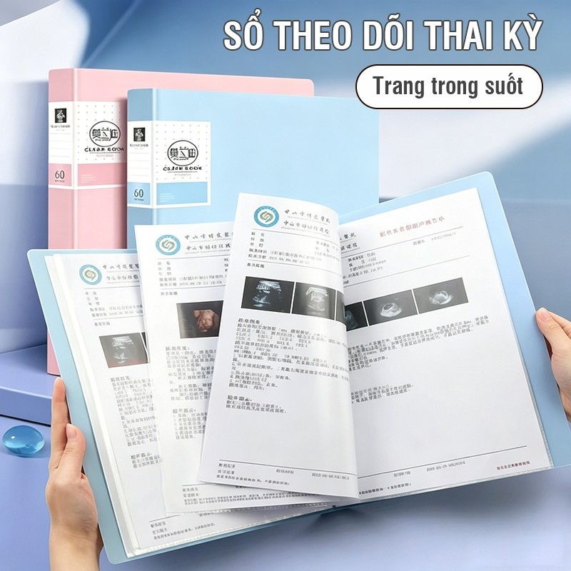 File Lá Đựng Tài Liệu A4 Chống Nước Cho Học Sinh Kết Quả Khám Thai Văn Phòng PP Cao Cấp