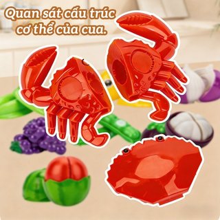 Đồ chơi cắt trái cây bằng nhựa ABS Trẻ em giả vờ chơi Bộ nhà bếp Vai trò học tập an toàn