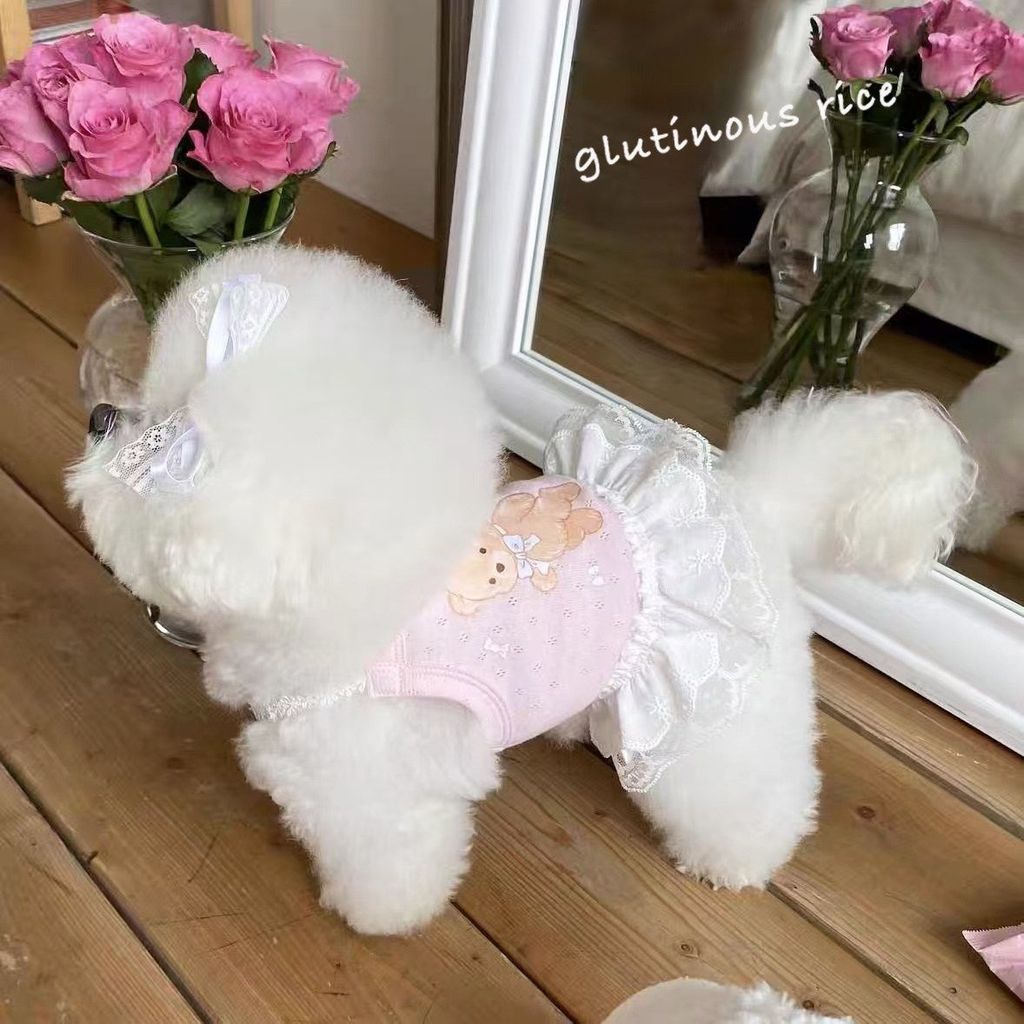 Váy ren cho chó Váy in hình gấu Váy mùa xuân mùa hè Quần áo thú cưng mỏng