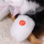 JUIC Mô Phỏng Mèo Sang Trọng Đồ Chơi, Có Yếm Lồng Tiếng Ragdoll Mèo Sang Trọng Búp Bê, Hoạt Hình Dễ Thương Mềm Lông Tơ Mô Phỏng Mô Hình Mèo Con Quà Tặng Sinh Nhật