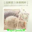 Quần Lót Hoa Nữ Tập Hợp Đóng Bên Ngực Áo Ngực Chống Chảy xệ Không Vòng Thép Áo Ngực Nhật Bản
