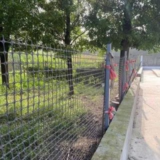Loai 1: cao 1,5m Dài 10m, 20m, 30m Ô lưới 3x4cm. Lưới nhựa dẻo lưới nhựa nguyên sinh. Dùng làm hàng rào. Chăn nuôi gà