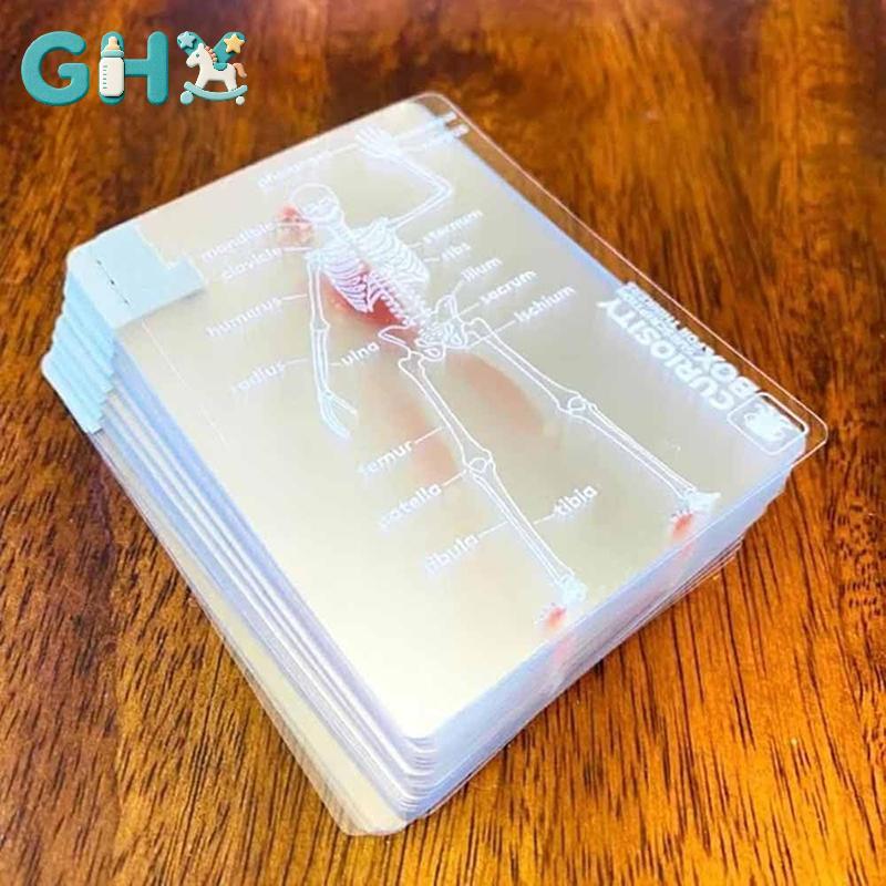 GHX Giải Phẫu Con Người Bộ Thẻ Trò Chơi Trong Suốt Vui Nhộn Cho Tiệc VN