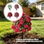 Treeling Nhựa Thực Tế Craapple Blossom Stake Lý Tưởng Để Trang Trí Sự Kiện Đám Cưới