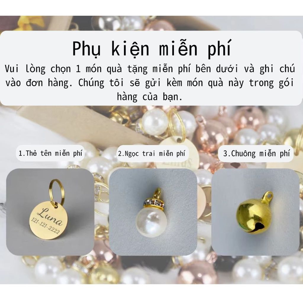 Vòng cổ nhung chó con khắc tên, thẻ tên, bộ cổ và dây xích