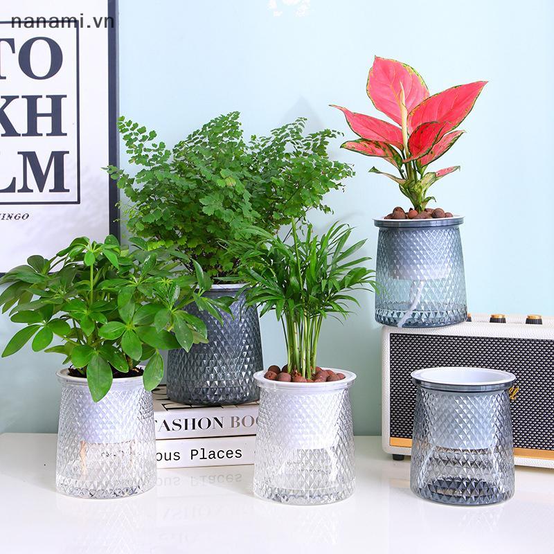[nanami] Chậu trồng cây tự tưới hai lớp Bình hoa bằng nhựa trong suốt Chậu hoa lười tự động Trang trí chậu hoa thủy canh [VN]