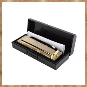 10 Lỗ 20 Tone G Key Harmonica Blues Nhạc Cụ Diatonic Harp Có Hộp Bảo Quản Vàng