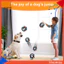 Bóng chó có tay cầm Đồ chơi Fetch cao su kêu cho chó cỡ trung Bóng huấn luyện nước nổi chống nhai bền cho chó nhai Đồ chơi nước nổi cho chó bóng đá thú cưng