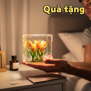 Acrylic Tulip Night Light Cube LED Soft Glow Trang trí bàn làm việc Quà tặng tại nhà Đèn xung quanh