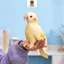 Rytanda Mô Phỏng Dễ Thương Vẹt Sang Trọng Đồ Chơi Cho Bé Trai Bé Gái Vẹt Chim Sang Trọng Đồ Chơi Thú Nhồi Bông Vui Nhộn Trẻ Em Bạn Gái Quà Tặng Năm Mới Trang Trí Phòng Ngủ Giáng Sinh Quà Tặng Sinh Nhật