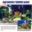 Máy Tính Bảng Lọc Nước Bể Cá Hành Động Nhanh An Toàn Nhẹ Nhàng Lâu Dài Máy Lọc Nước Bể Cá Viên Cho Gia Đình Ký Túc Xá jiwvn