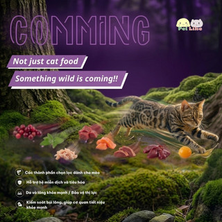 Thức ăn hạt cho mèo CAT TIGGER WILD 1KG - Bí Quyết Lông Mượt, Khỏe Mạnh Từ Hoàng Kim Petshop