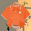 Áo Sơ Mi Polo Trẻ Em In Hoa Cúc Tay Ngắn Thường Ngày Hàng Ngày Mặc Thường Ngày Bé Gái