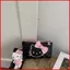 GC2 2026 Túi Trang Điểm Hello Kitty Phong Cách Đa Năng Dung Tích Lớn Nhẹ Túi Bảo Quản CG2