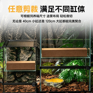 Gậy leo núi bò sát có thể cắt được Kết cấu tự nhiên Trang trí Terrarium cho tắc kè và thằn lằn