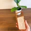 Ốp Lưng Likgus Magnetic Trong Suốt Cho iPhone 17 Pro / 17 Pro Max - Chống Sốc, Ố Vàng, Nút Camera Control
