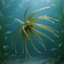 Exhila 6 Mồi Câu Cá Urchin Biển Có Phao Mềm Nổi Swimbait Cho Nước Ngọt Và Nước Mặn Câu Cá Bền Đẹp