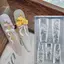 TRTR Hoa Hồng Móng Tay Silicon Giảm Hình Móng Tay Nghệ Thuật Khuôn 3D Trang Trí Móng Tay Móng Tay Salon Phụ Kiện Dụng Cụ Làm Móng Tay VN