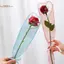 TRTR 50 Chiếc Iridescent Đơn Hoa Hồng Tay DIY Trong Suốt Hoa Gói Túi Chất Liệu Hoa Ngủ Chống Thấm Nước VN