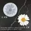 < Honeyba > Khuôn Silicon Hoa Cúc Hoa Cúc Có Lỗ Hương Liệu Ô Tô Epoxy Handmade Xà Phòng Nến Khuôn DIY Trang Trí Kẹo Đóng Băng Khuôn Đẹp