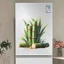 Mô Phỏng 3d Tre Sáng Tạo Miếng Dán Nhà Bếp Tủ Lạnh Cửa Sổ Kính Tường Che Khuyết Điểm Tre Tự Dính Dán Tường