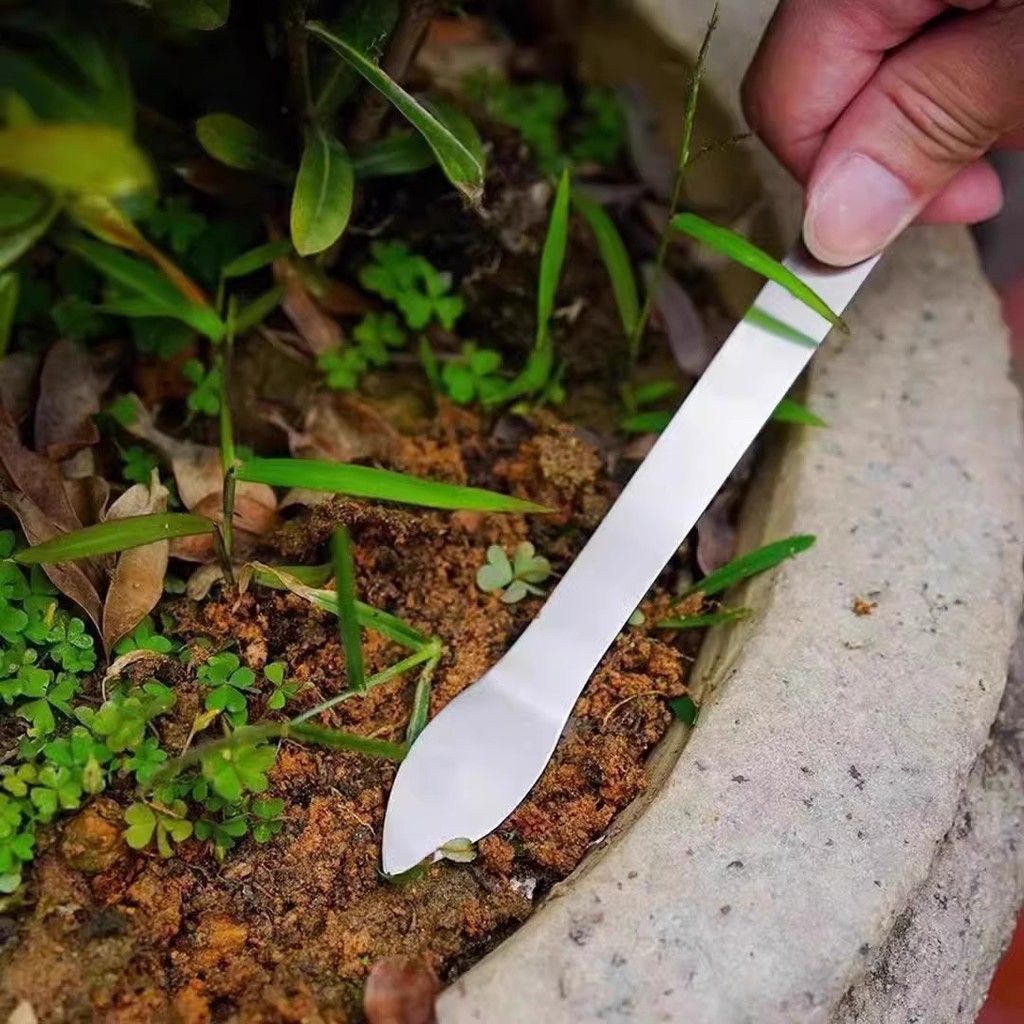 Mới Cây Cảnh Rake Hộ Gia Đình Thép Không Gỉ Tay Rake Hai Đầu Bấm Đất Dao Mầm Chọn Handmade Làm Cây Cảnh Dụng Cụ Rời Đất