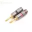 Ge 4 chiếc Mạ Vàng BFA 4mm Chuối Cắm Nam Loa Kết Nối Adapter n