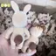 1 Rừng Gia Đình Động Vật Hình Thỏ Gấu Chó Floed Shaggy Hình Động Vật Đồ Chơi Mô Hình Cho Trẻ Em Nhà Máy Lỗi Đẹp