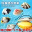 Giả Clam Xịt Nước Đồ Chơi Mùa Hè Trầy Xước Giả Nước Chơi Học Sinh Tiểu Học Tặng 5.5