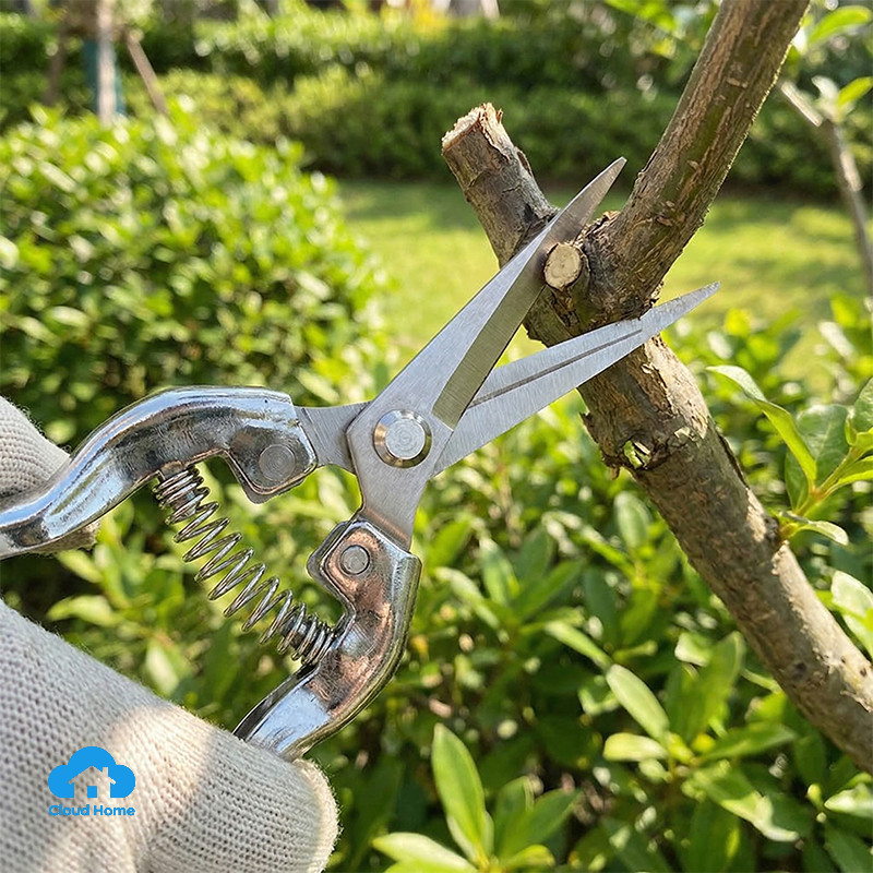 Kéo cắt tỉa cành bằng thép không gỉ 3Cr13, dụng cụ thu hoạch, làm vườn, ghép cây ăn quả.
