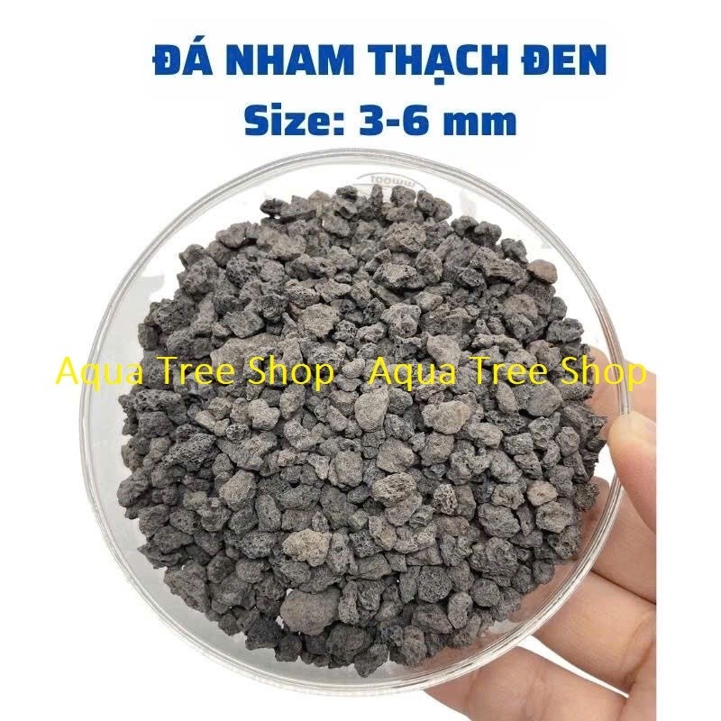 1kg Đá Nham Thạch Đỏ/ Đen Cho Sen Đá – Thoáng Rễ, Hạn Chế Úng