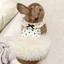 LAKAM Puppy Slip Dress, Đầm công chúa thú cưng mềm mại thoáng khí, Quần áo bông Corgi mùa hè ngọt ngào đáng yêu hợp thời trang cho chó mèo nhỏ