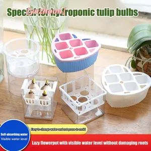 1 Chậu cây tự tưới nước trong suốt Chậu hoa bằng nhựa hai lớp Hấp thụ nước tự động Chậu trồng cây tự tưới nước