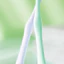 【Roshy】Bàn chải vệ sinh răng miệng Inter Dental Bàn chải chỉnh nha Đầu nhọn Bàn chải đơn Bàn chải đánh răng hình chữ U